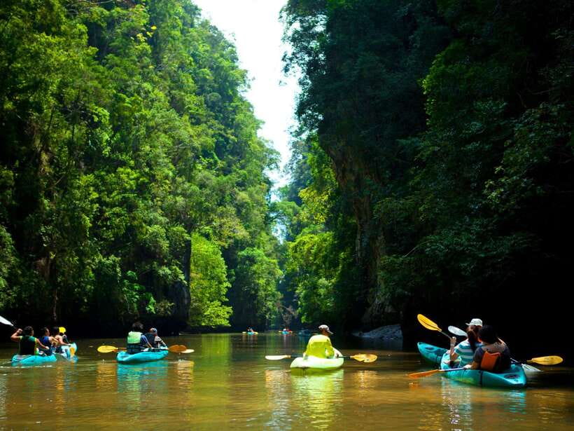Ko Lanta: Mangrove Forest Kayak & Wildlife Adventure - Price and what $41 buys you (and what it doesn’t)