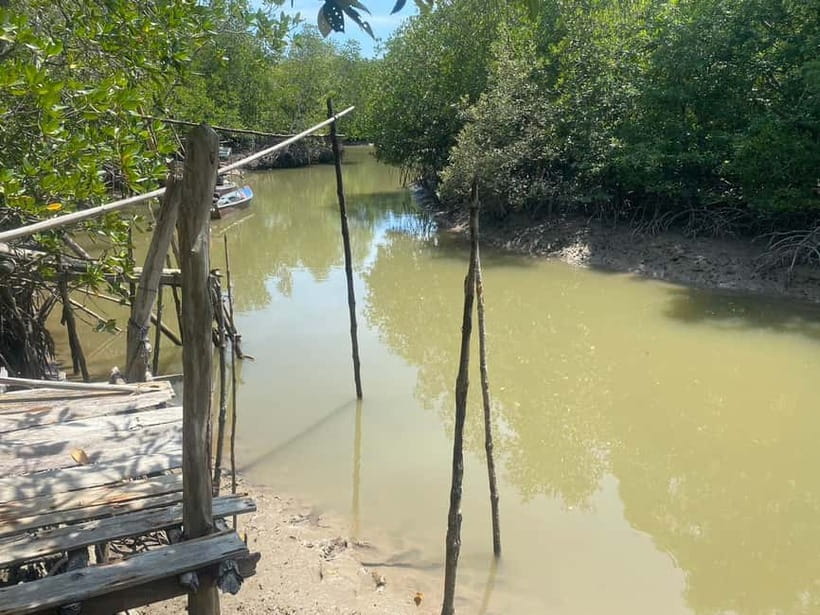 Ko Lanta: Mangrove Kayaking, Ko Talabeng, & Skull Island - Who This Tour Suits Best (and Who Should Skip It)