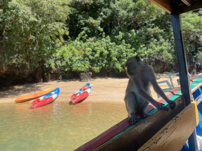 Ko Lanta: Mangrove Kayaking, Ko Talabeng, & Skull Island - Ko Talabeng Mangrove Kayaking: Wildlife in a Real Ecosystem