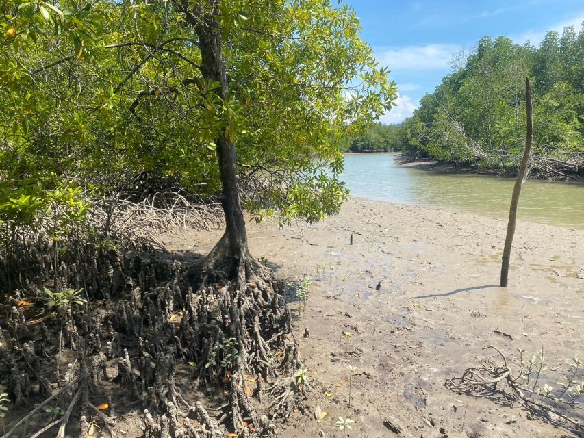 Ko Lanta: Mangrove Kayaking, Ko Talabeng, & Skull Island - Ko Talabeng Noi Picnic Lunch and Swim Time You’ll Actually Enjoy