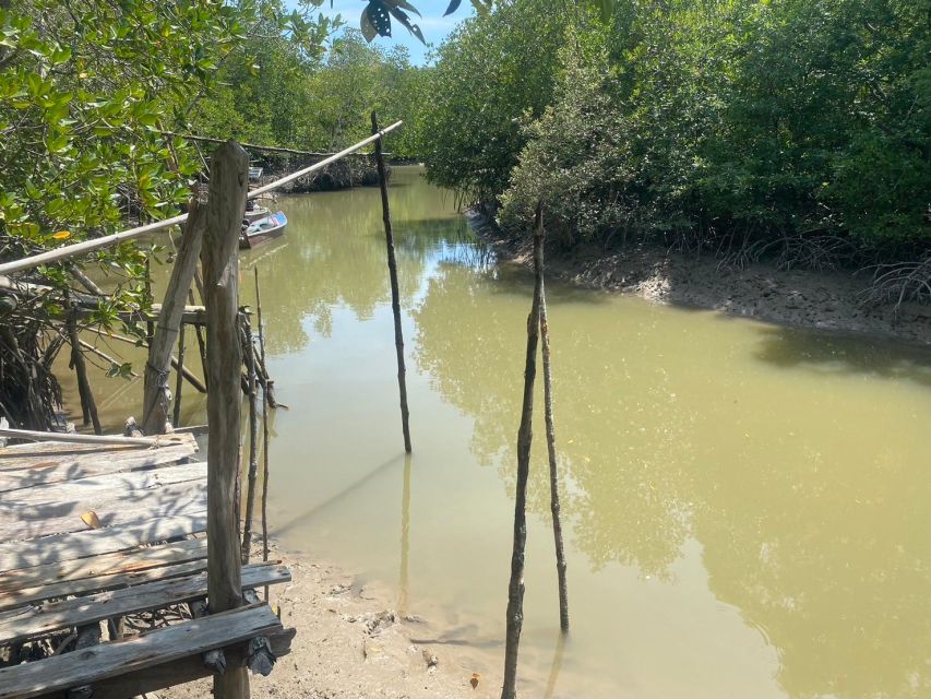 Ko Lanta: Mangrove Kayaking, Ko Talabeng, & Skull Island - What to Bring: Shoes, Towel, and a Cash Plan for Tips