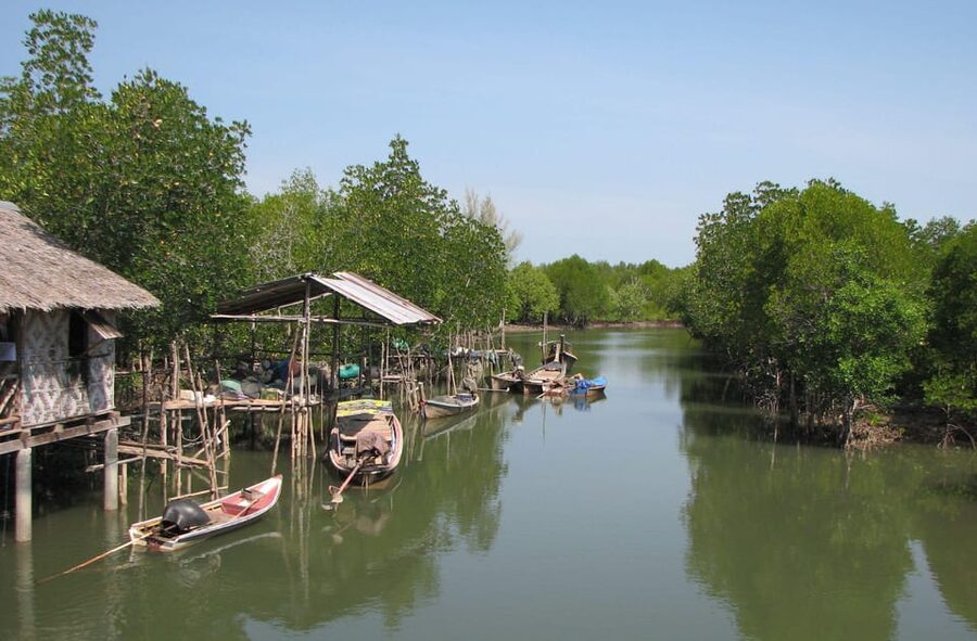 Ko Lanta: Old Town and Mangrove Forest Sightseeing Tour - The One Thing to Watch: Pickup and Tour Readiness