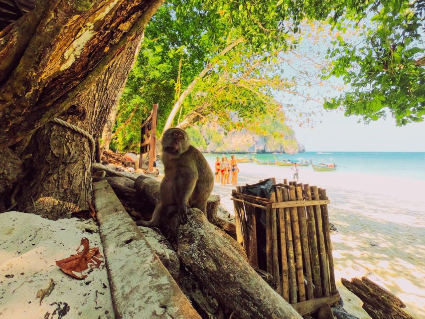 Ko Lanta: Phi Phi Day Trip by Speed Boat - The value question: what $55 buys, and what costs extra