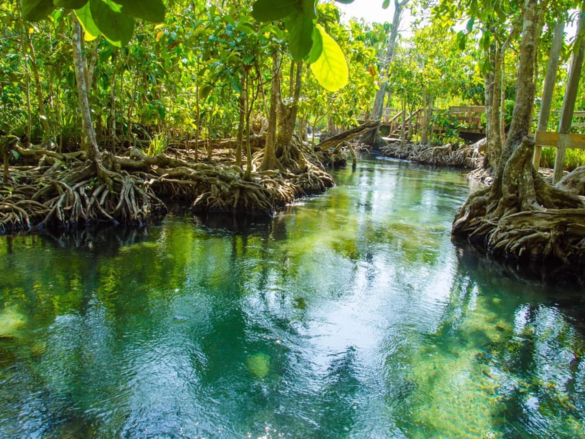 Ko Lanta: Private Exploration– Mangroves, Old Town & Beaches - Bamboo Beach: Snorkeling and a Seaside Meal You Can Enjoy Without Rush