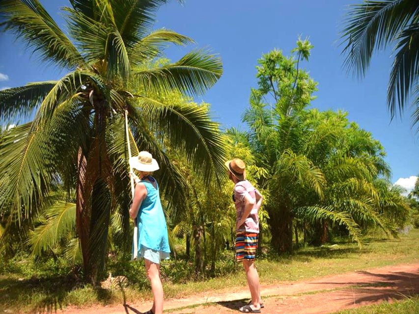 Ko Lanta: Private Gondola Cruise with Mangrove Forests - Price and value: what $80 covers (and the 20 Bath fee)