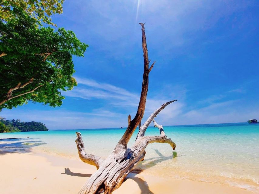 Ko Lanta: Private Longtail Rok Island Snorkeling Day Trip - Koh Rok’s Reef and Beach Combo (Why This Trip Works)