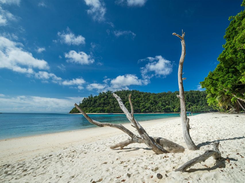Ko Lanta: Private Longtail Rok Island Snorkeling Day Trip - Beach Buffet Lunch and Real Rest Time on White Sand