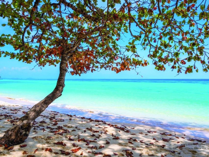 Ko Lanta: Private Longtail Rok Island Snorkeling Day Trip - Who This Trip Suits Best (and Who Should Skip It)