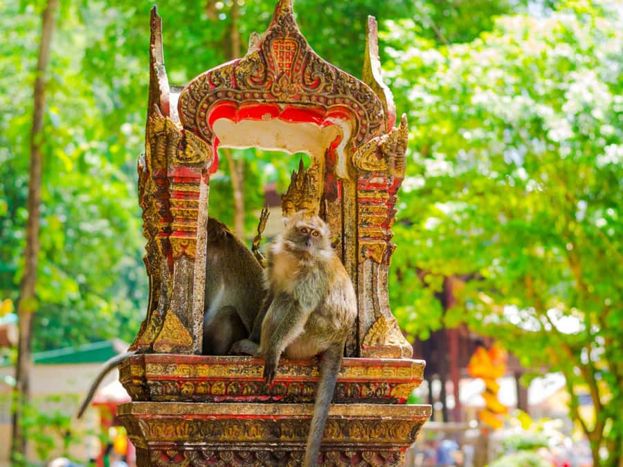 Ko Lanta: Private Tiger Cave, Hot Spring & Emerald Pool Tour - Wat Tham Suea (Tiger Cave Temple): the climb, the cave holes, and the hilltop views