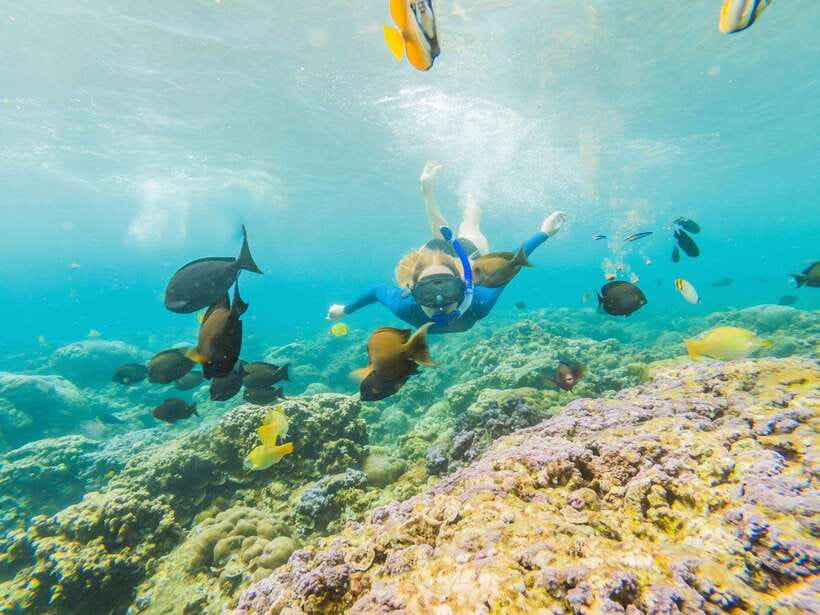 Ko Lanta: Snorkeling Adventure Tour to Koh Rok and Koh Haa - Smart Tips to Make Your Day Better