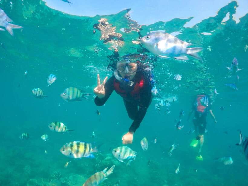 Ko Lanta: Unique 4-Island Long-Tail Snorkeling Tour w/ Lunch - Koh Ngai Beach Lunch: Food, Fruit, and Actual Down Time