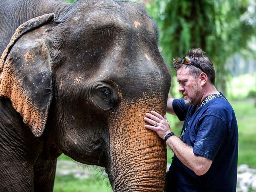 Ko Lanta Yai: Half-Day Ethical Elephant Sanctuary Tour - Banana Feeding and Elephant Introductions: how staff set you up for calm, safe contact