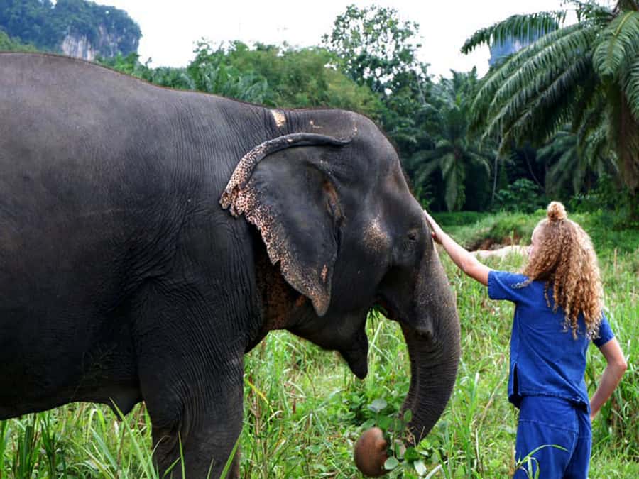 Ko Lanta Yai: Half-Day Ethical Elephant Sanctuary Tour - Mud Pool Mud Spa and Elephant Bathing: your hands will get involved
