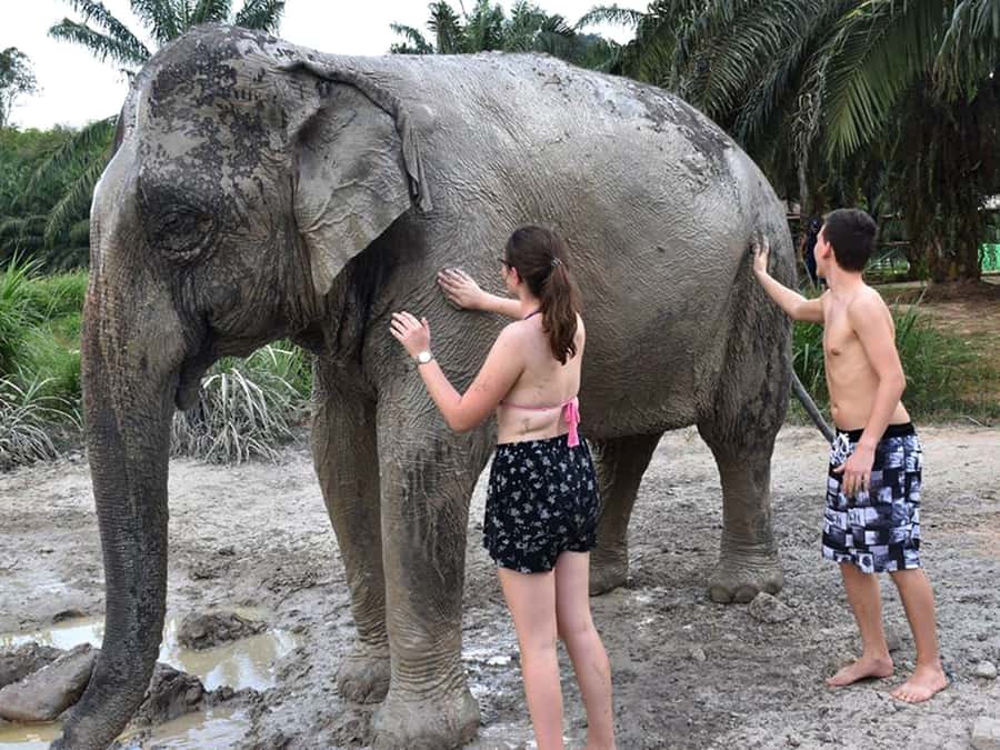 Ko Lanta Yai: Half-Day Ethical Elephant Sanctuary Tour - Hotel Pickup Timing on Ko Lanta (and why going earlier helps)