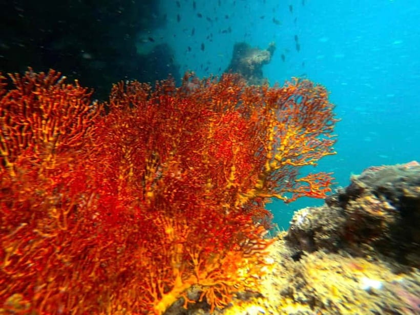 Koh Lanta: 4 Islands and Emerald Cave Snorkeling Trip - The route: Koh Ngai to Koh Muk, then Kradan and Chuek