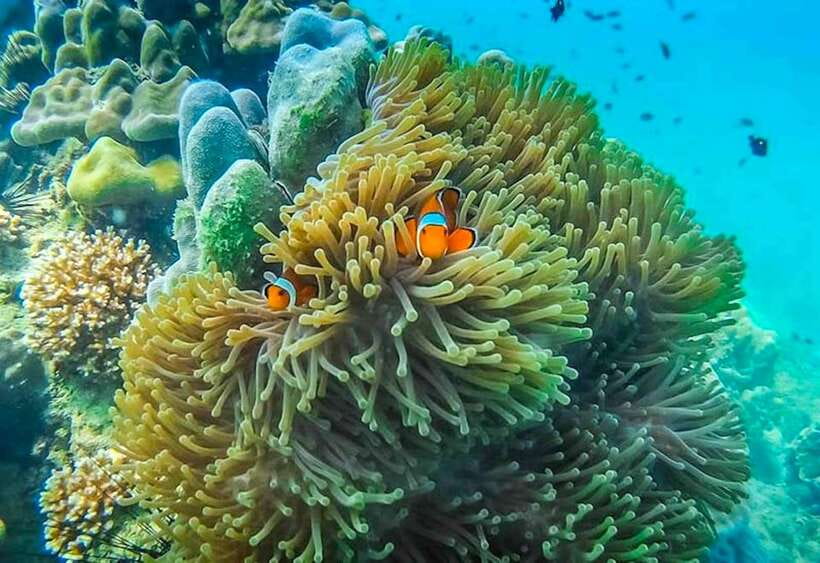 Koh Lanta: 4 Islands and Emerald Cave Snorkeling Trip - Koh Muk and the Emerald Cave: the highlight (and the reason you book)