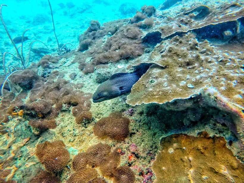 Koh Lanta: 4 Islands and Emerald Cave Snorkeling Trip - The guide: Ya’s service style and why English can vary