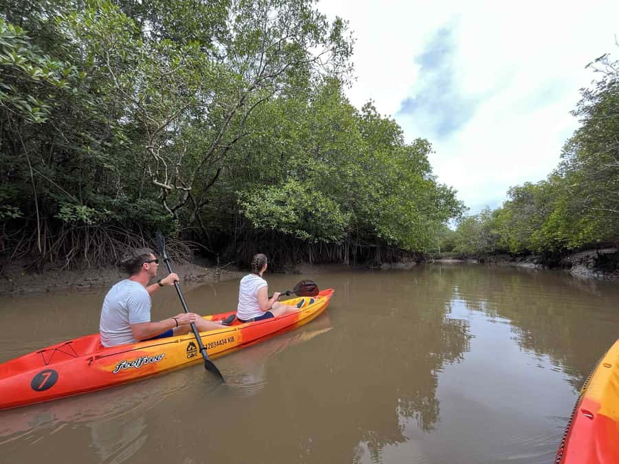 Koh Lanta: Amazon Mangrove Kayaking Tour With Lunch - What you’re really learning: fishermen and fish farming in the mangrove world