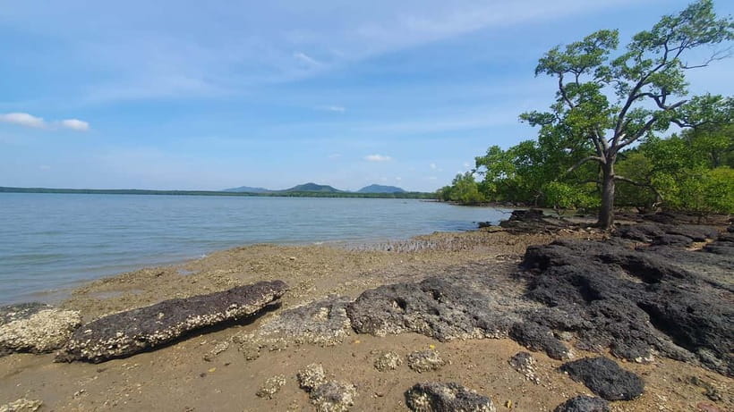 Koh Lanta Cultural Tuk-Tuk Tour: Old Town, Batik & Mangroves - Tips to get the most out of your tuk-tuk day