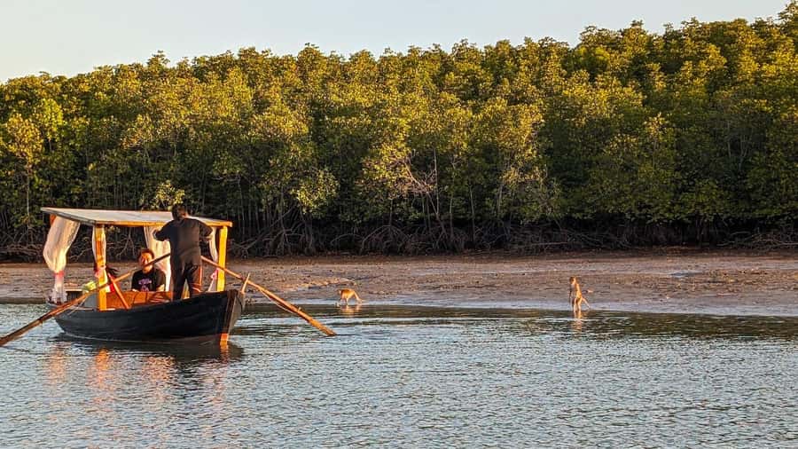 Koh Lanta: Romantic Sunrise Private Gondola Tour - The return: back to the pier and a calm ending