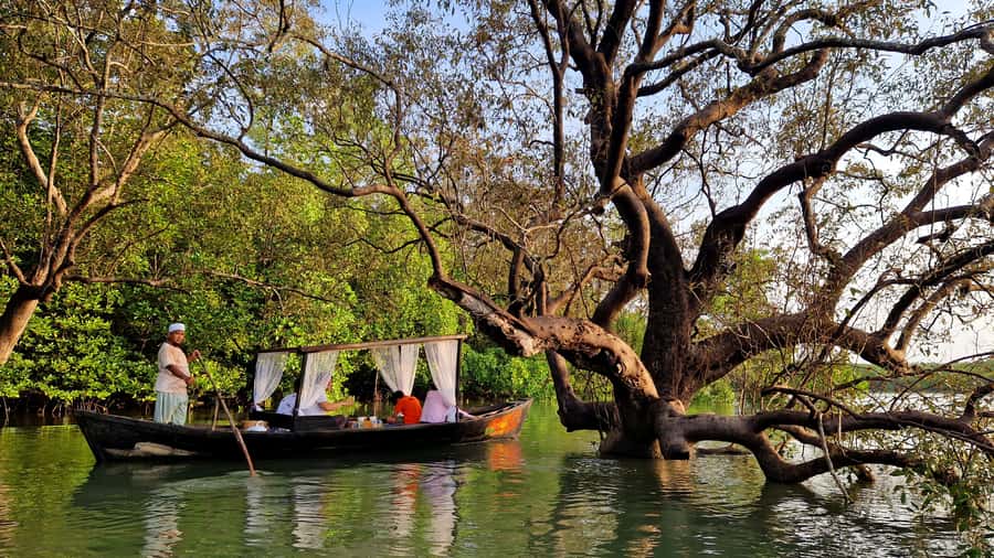 Koh Lanta: Romantic Sunrise Private Gondola Tour - Wildlife in the mangroves: macaques, birds, and the small stuff