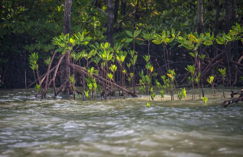 Koh Lanta: Sea Cave Kayaking and Talabeng Island Tour - Longtail boat time around Ung Island: coastline views at eye level