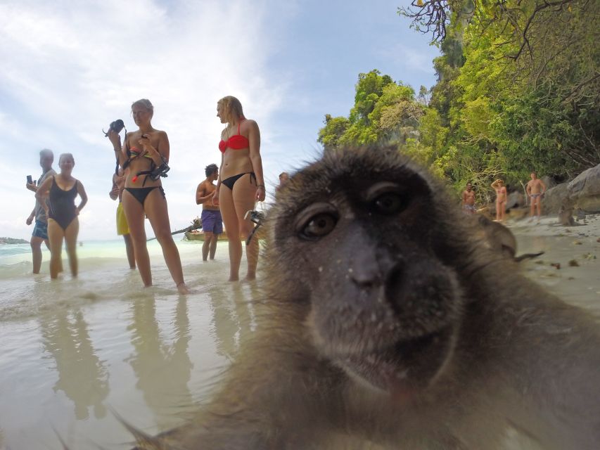 Koh Phi Phi: Captain Bob's Private Booze Cruise - Maya Bay: Famous Beach, Real Access by Short Walk