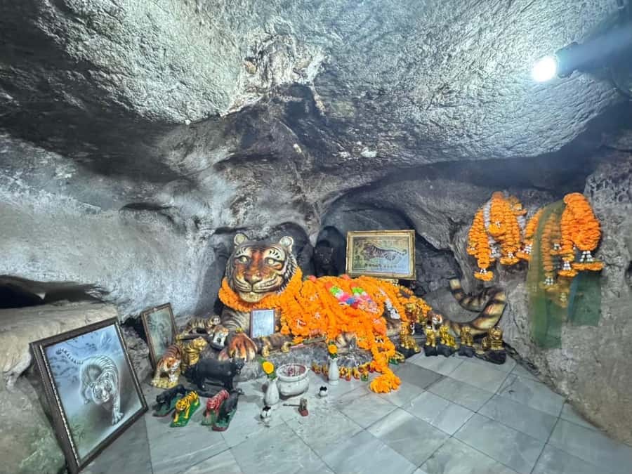 Krabi : 4-Hour City Tour with Tiger Cave Temple - How the private guide changes the experience