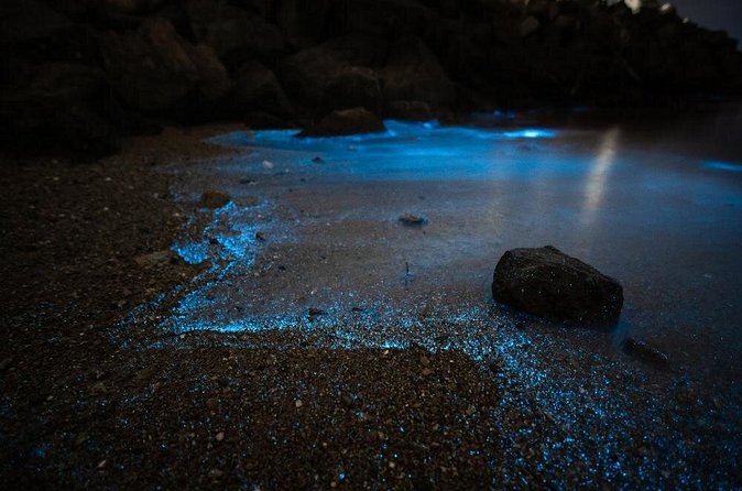 Krabi 7 Islands Longtail Boat Sunset BBQ - Khea Reux Bin: bioluminescent plankton swim at night