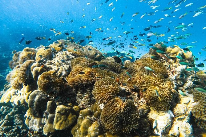 Krabi 7 Islands Sunset & Bioluminescence by Longtail boat - Guides, group size, and onboard vibe: where the experience can vary