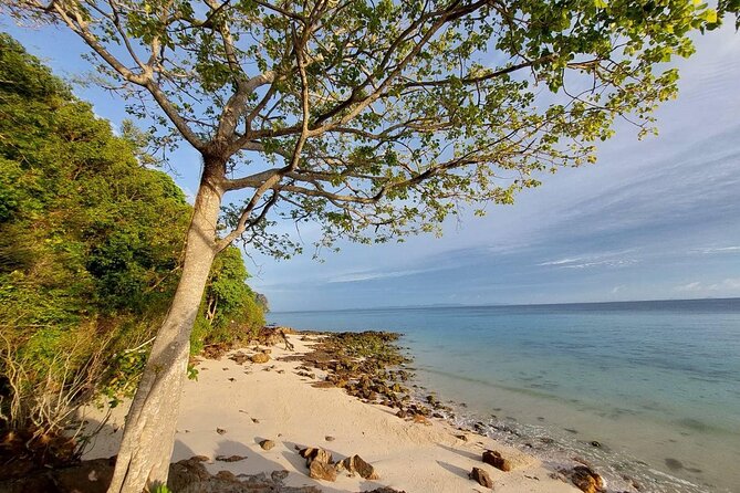 Krabi 7 Islands Sunset Tour BBQ Beachside Dinner + Plankton Swim - Snorkeling at two stops: what you’re really paying for in the daytime