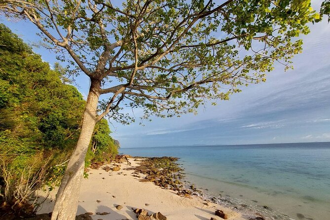 Krabi 7 Islands Sunset Tour with Bioluminescent Plankton + BBQ - Tup Island sandbar walk: fun at low tide, but bring realistic timing