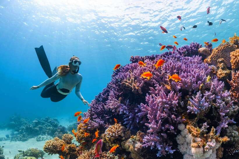 Krabi: 7 Islands Sunset Tour with Plankton Swim and BBQ - Koh Tan Ming: another strong snorkeling window
