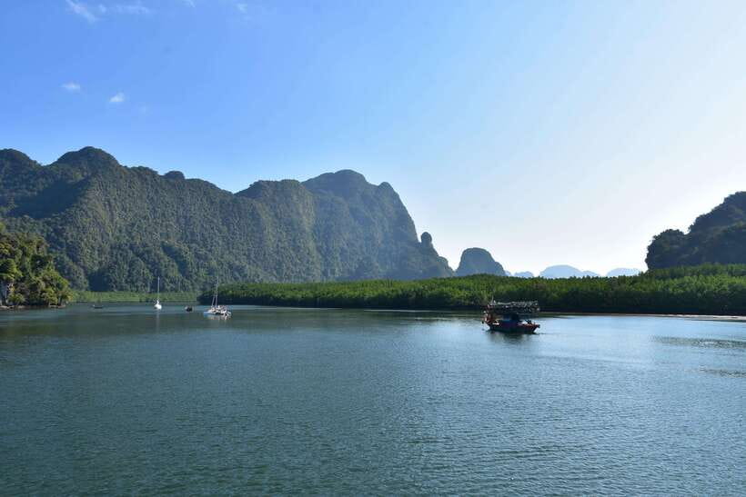Krabi: A Kayaking Odyssey through Din Daeng Mangrove Maze - Mangrove Maze + Ko Ha (Five Islands): Secret Channels for the Last Stretch