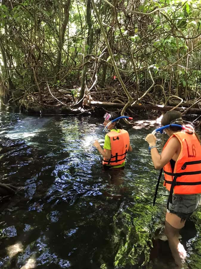 Krabi: Amazon Klong Srakaew Kayaking With Lunch - Key things I’d bookmark before you go