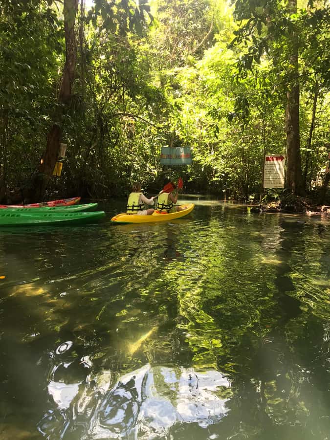 Krabi: Amazon Klong Srakaew Kayaking With Lunch - Lunch by the water: fried rice, fruit, and a proper reset