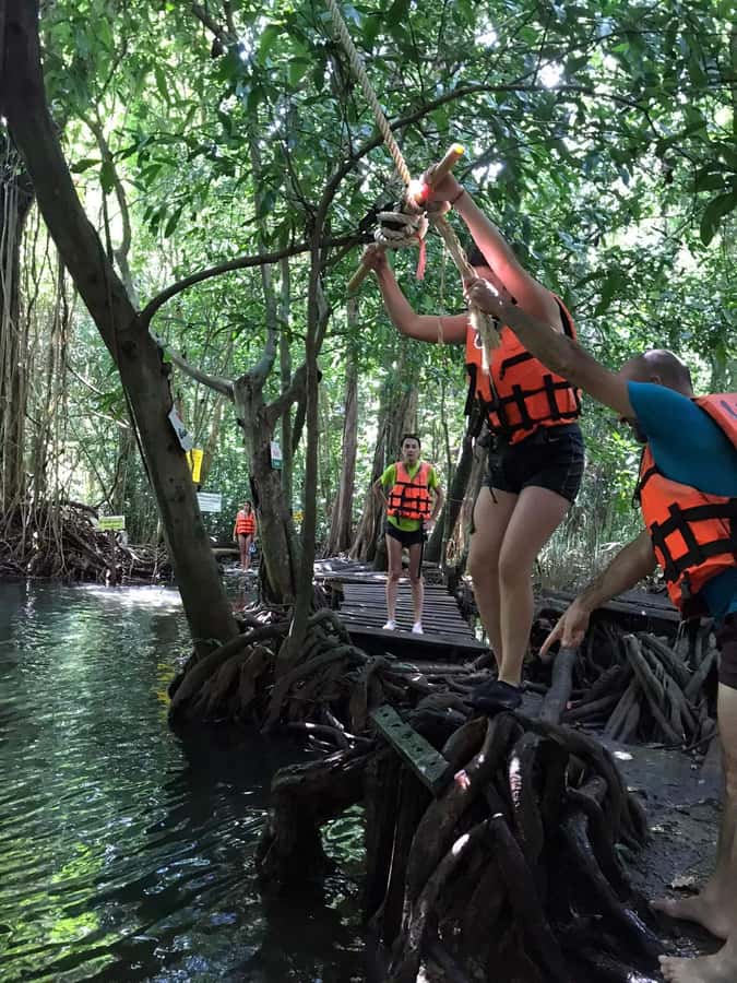 Krabi: Amazon Klong Srakaew Kayaking With Lunch - Pickup, transfers, and where you should start from