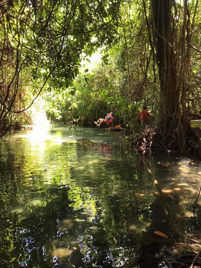 Krabi: Amazon Klong Srakaew Kayaking With Lunch - Who should book this kayaking + lunch trip