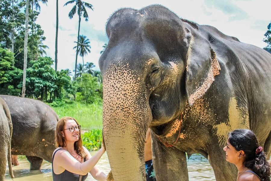 Krabi: Ao Nang Elephant Sanctuary Half-Day Tour - Why This Elephant Sanctuary Tour Feels Grounded, Not Staged