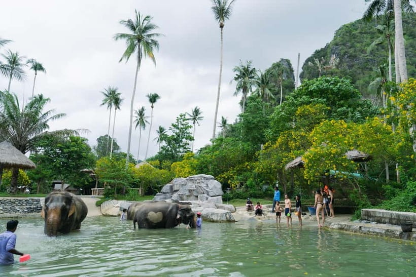 Krabi: Ao Nang Elephant Sanctuary Half-Day Tour - What to Bring (And What to Skip) So You Don’t Suffer