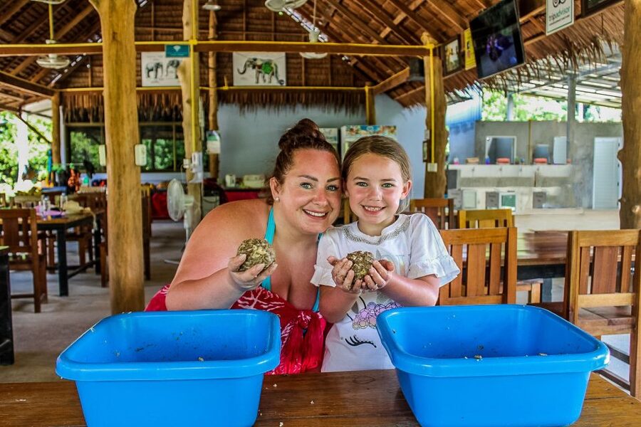 Krabi: Ao Nang Elephant Sanctuary Half-Day Tour - Mud Spa Time: Healthy Treatment, Messy Fun, Real Conditions