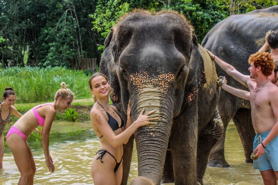 Krabi: Ao Nang Elephant Sanctuary Half-Day Tour - What You Eat and Drink: Snacks, Fruit, and Coconut Water