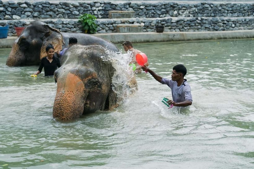 Krabi: Ao Nang Elephant Sanctuary Half-Day Tour - Photos Without the Headache: Staff Take Care of the Moments