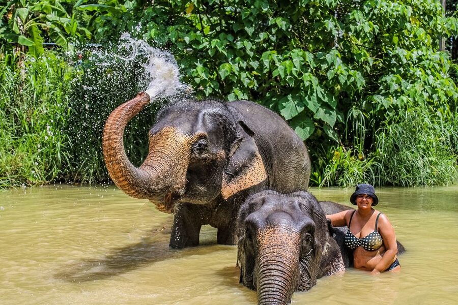 Krabi: Ao Nang Elephant Sanctuary Half-Day Tour - Price and Value: What $70 Really Buys