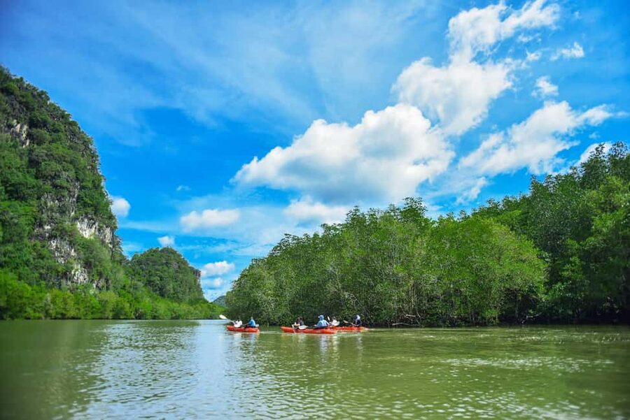 Krabi: Ao Thalane Mangrove Kayaking with Extras - Kayak time with limestone cliffs and mangrove roots (the part you’ll remember)