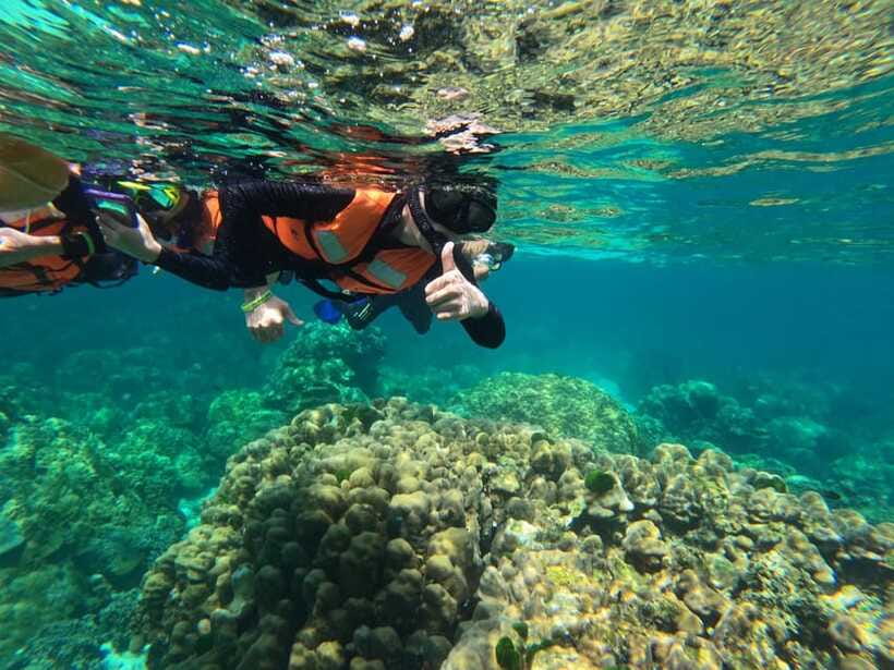 Krabi Aonang: Koh Rok & Koh Haa Snorkelling Day Trip + Lunch - Who This Trip Fits Best (and Who Might Be Happier Elsewhere)