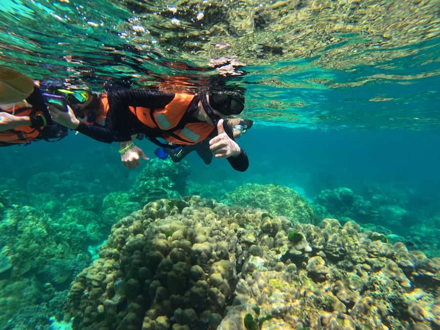 Krabi Aonang: Koh Rok & Koh Haa Snorkelling Day Trip + Lunch - Ao Nang Pickup and Shared Transfers: What the Morning Really Means