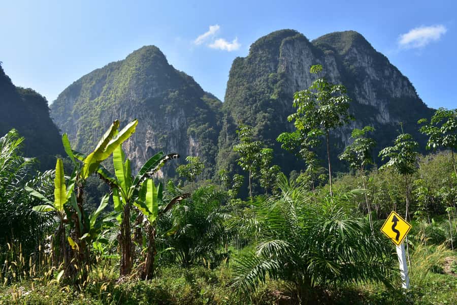 Krabi: ATV Jungle Bash & Kayak Odyssey in Din Daeng Mangrove - What’s included for $77: where the value actually comes from