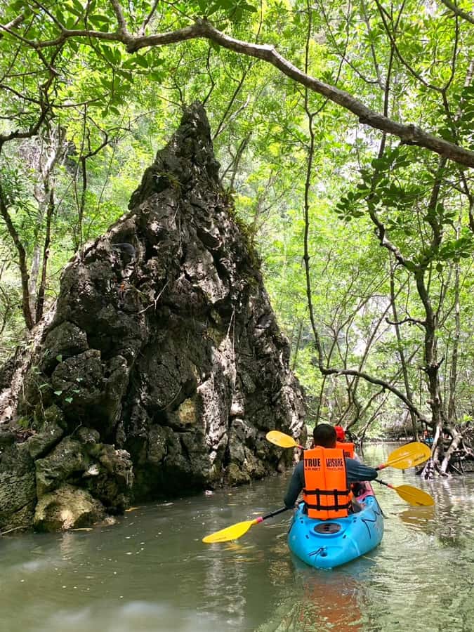 Krabi: ATV Jungle Bash & Kayak Odyssey in Din Daeng Mangrove - Who this tour suits best, and who should skip it