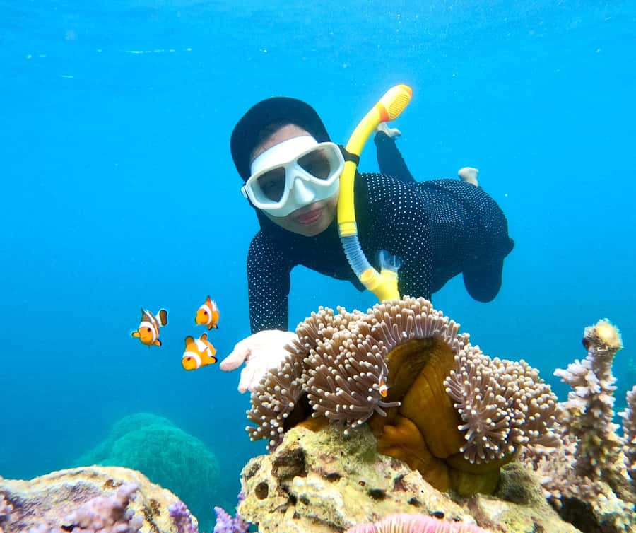 Krabi: Bioluminescent Plankton, Snorkeling & Sunset Tour - Who should book this, and who should skip it